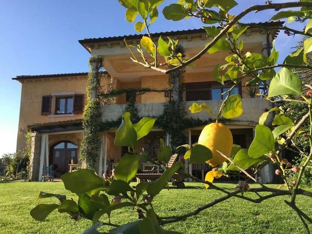 Bed & Breakfast B&B La Murichessa Arzachena